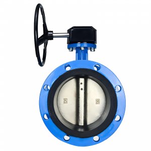 法蘭式蝸輪蝸桿蝶閥DN40，1.6Mpa（橡膠密封